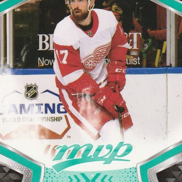 Filip Hronek Hockey Card Collection - Picture 2 of 4